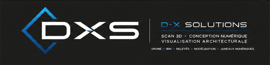 D-X Solutions
